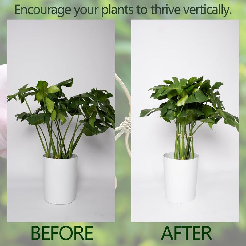 Goooxim 5PCS Monstera Plant Stem Support Stakes - 5.5 * 5.5IN Metal Supports for Monstera and Fishbone Cactus, Sturdy Frame, Easy Installation, Flexible Protection for Healthy Growth Indoors - Image 3